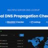 Global DNS - Multiple Server - DNS Propagation Checker - WP