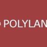 Polylang Pro v3.7.2 - Multilingual Plugin
